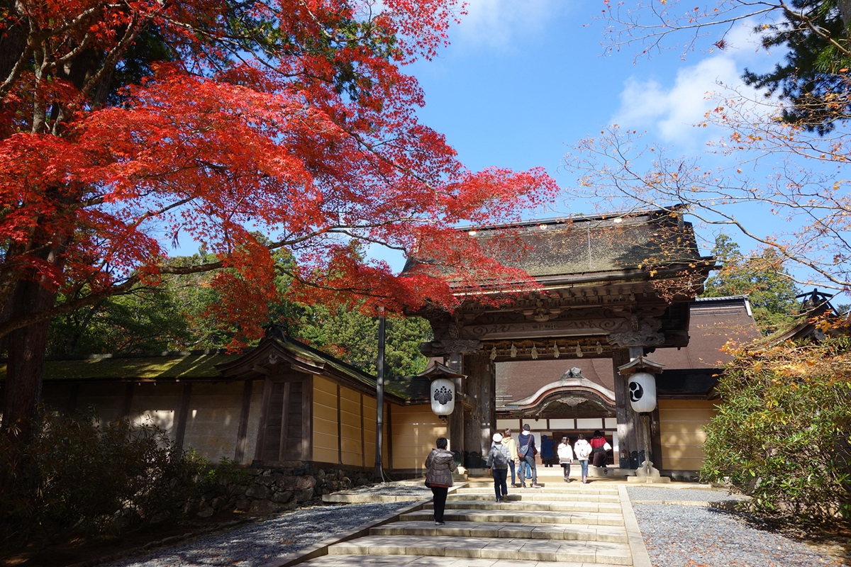 【高野山.吉野山】長谷寺.談山神社.壇上伽藍.深度5日